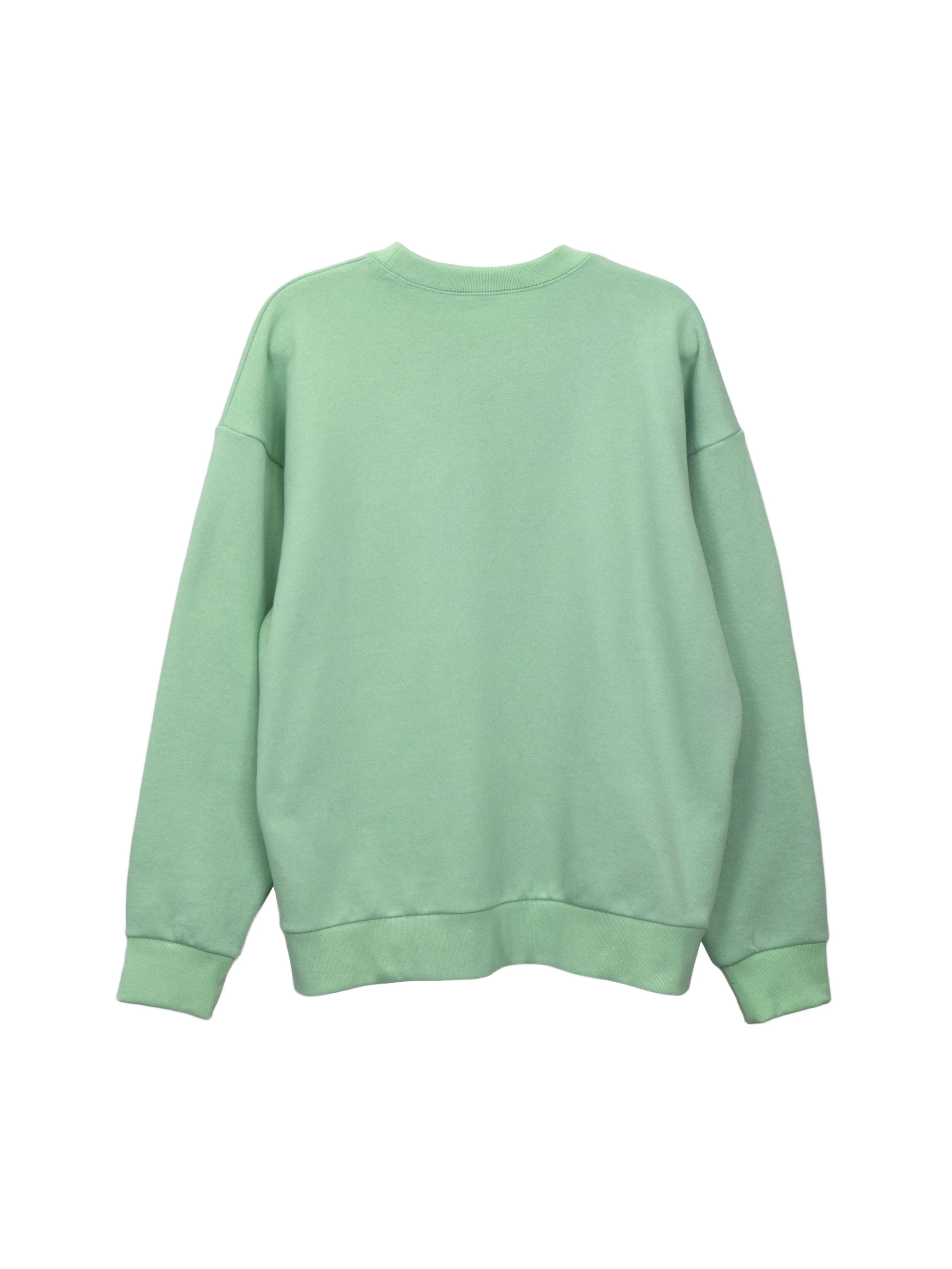 Creative Thoughts™  | Park Crewneck Sweater - Mint Green Fleece